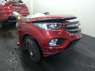 Sloopauto Ford Kuga  2019/1