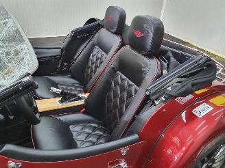 Morgan Plus  picture 30