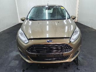Ford Fiesta 1.6 TDCi Titanium Econetic picture 21