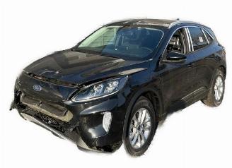 Ford Kuga  picture 2