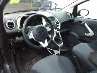 Ford Ka Comfort s/s picture 16