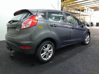 Ford Fiesta  picture 15
