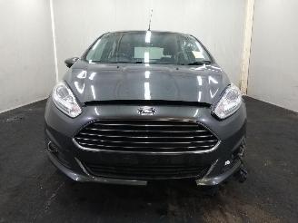Ford Fiesta  picture 2