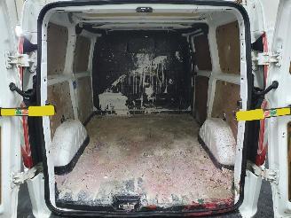 Ford Custom L1H1 picture 24