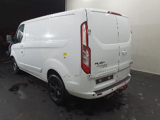 Ford Custom L1H1 picture 31