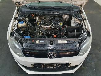 Volkswagen Polo 6R Bluemotion picture 15