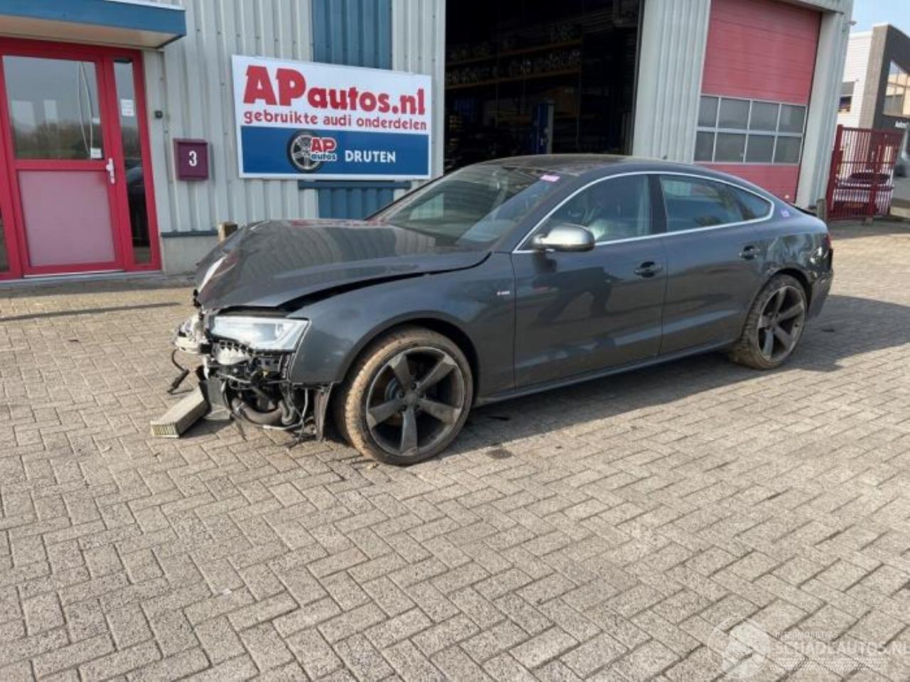 Audi A5 A5 Sportback (8TA), Liftback, 2009 / 2017 1.8 TFSI 16V