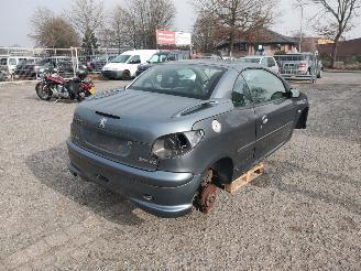 Peugeot 206 CC Grijs EZW Onderdelen picture 6