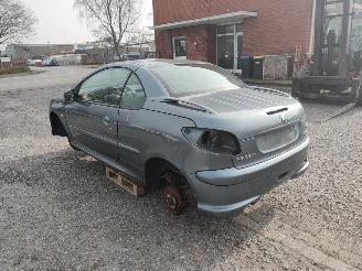 Peugeot 206 CC Grijs EZW Onderdelen picture 8