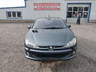 Peugeot 206 CC Grijs EZW Onderdelen picture 2