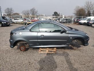 Peugeot 206 CC Grijs EZW Onderdelen picture 5