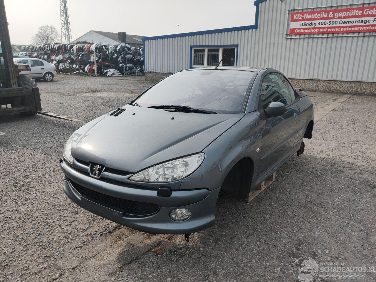 Peugeot 206 CC Grijs EZW Onderdelen