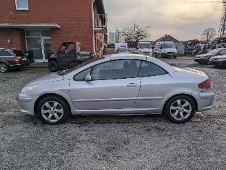 Peugeot 307 CC Cabrio 1.6 picture 8