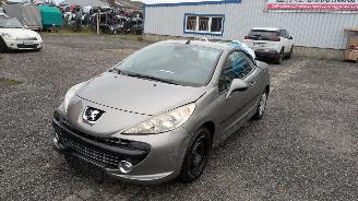 disassembly passenger cars Peugeot 207 KTN 2008/5