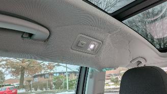 Volkswagen Golf Sportsvan 2.0 TDI DSG picture 28