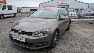 Volkswagen Golf 1.6 TDI BlueMotion 2013/9