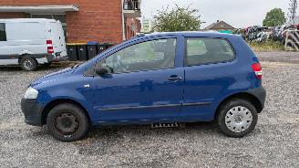Volkswagen Fox 1.2 picture 9