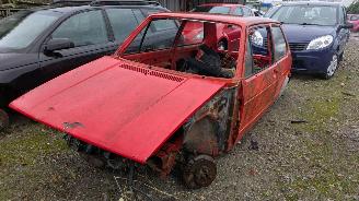 disassembly passenger cars Volkswagen Golf 1 1981/6