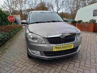 Skoda Roomster 1.2 TSI STYLE picture 16