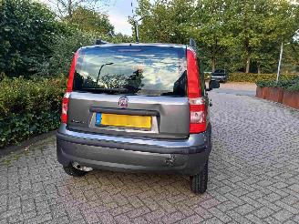 Fiat Panda 1.2 Active picture 17