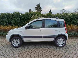 Fiat Panda 1.2 Climbing 4x4 picture 12