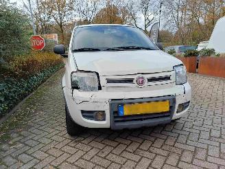 Fiat Panda 1.2 Climbing 4x4 picture 18