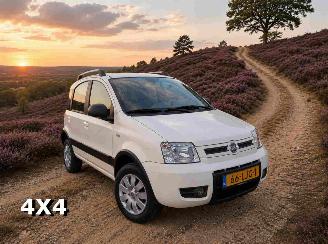  Fiat Panda 1.2 Climbing 4x4 2010/4