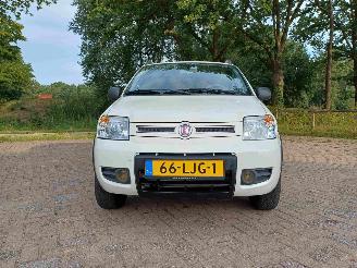 Fiat Panda 1.2 Climbing 4x4 picture 14