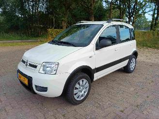 Fiat Panda 1.2 Climbing 4x4 picture 4