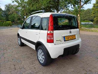 Fiat Panda 1.2 Climbing 4x4 picture 3