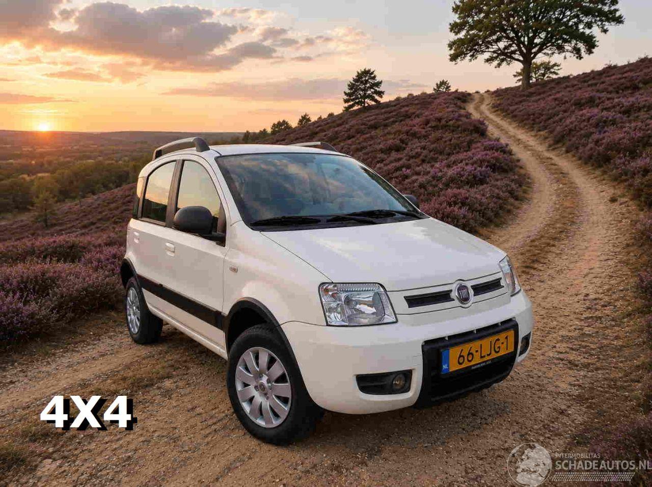 Fiat Panda 1.2 Climbing 4x4