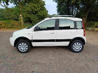 Fiat Panda 1.2 Climbing 4x4 picture 11