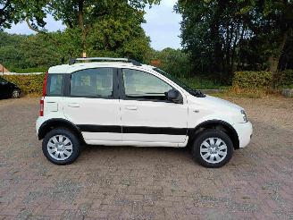 Fiat Panda 1.2 Climbing 4x4 picture 12