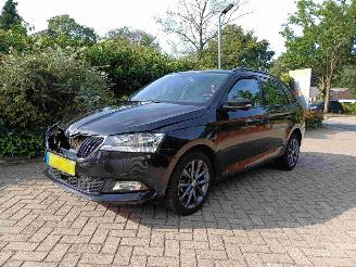 Avarii autoturisme Skoda Fabia Combi 1.0 TSI Business Edition 2019/9