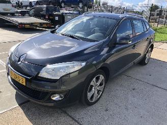 Renault Mégane 15dci 81kW E5 Combi picture 2