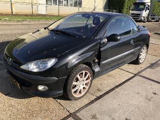 Peugeot 206 Cabrio 2.0i CLIMA 131000 km picture 2