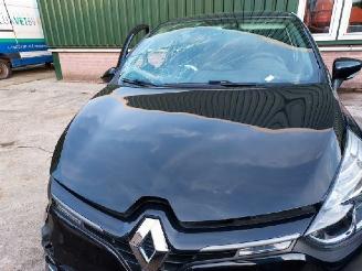 Renault Clio  picture 16