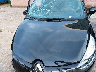 Renault Clio  picture 14