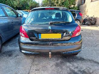 disassembly passenger cars Peugeot 207  2010/6