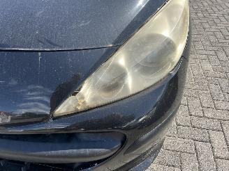 Peugeot 207 1.4 vti picture 18