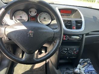 Peugeot 207 1.4 vti picture 23