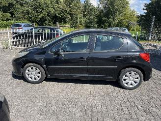 Peugeot 207 1.4 vti picture 2