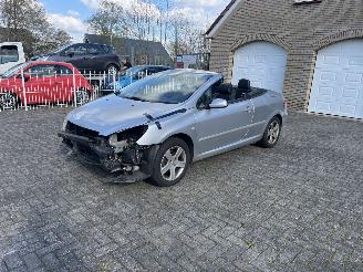 Unfallwagen Peugeot 307  2005/3