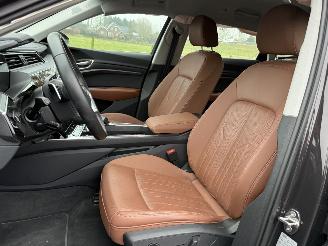 Audi Q8 E-Tron 50 Quattro picture 6