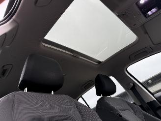 Volkswagen Golf VIII 1.4 EHYBRID / Panorama / Automaat picture 11