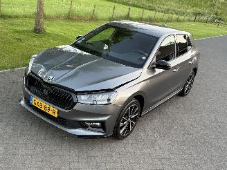 Skoda Fabia 1.0 TSI Monte Carlo picture 8