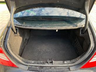 Mercedes CLS 320 cdi picture 16