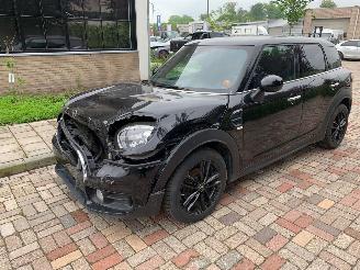 Mini Countryman  picture 2