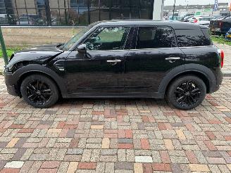 Mini Countryman  picture 8