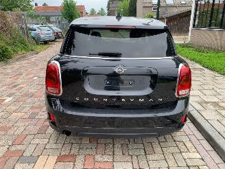 Mini Countryman  picture 4